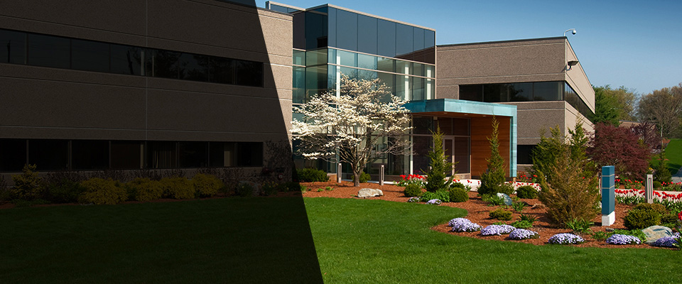 Woodridge Landscapers