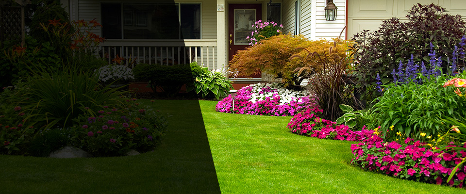 Woodridge Landscapers