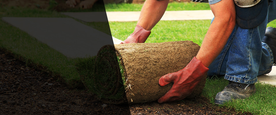 Woodridge Landscapers